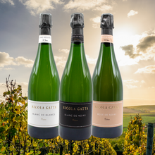 Carica l'immagine nel visualizzatore di Gallery, Nicola Gatta - Box Esperto