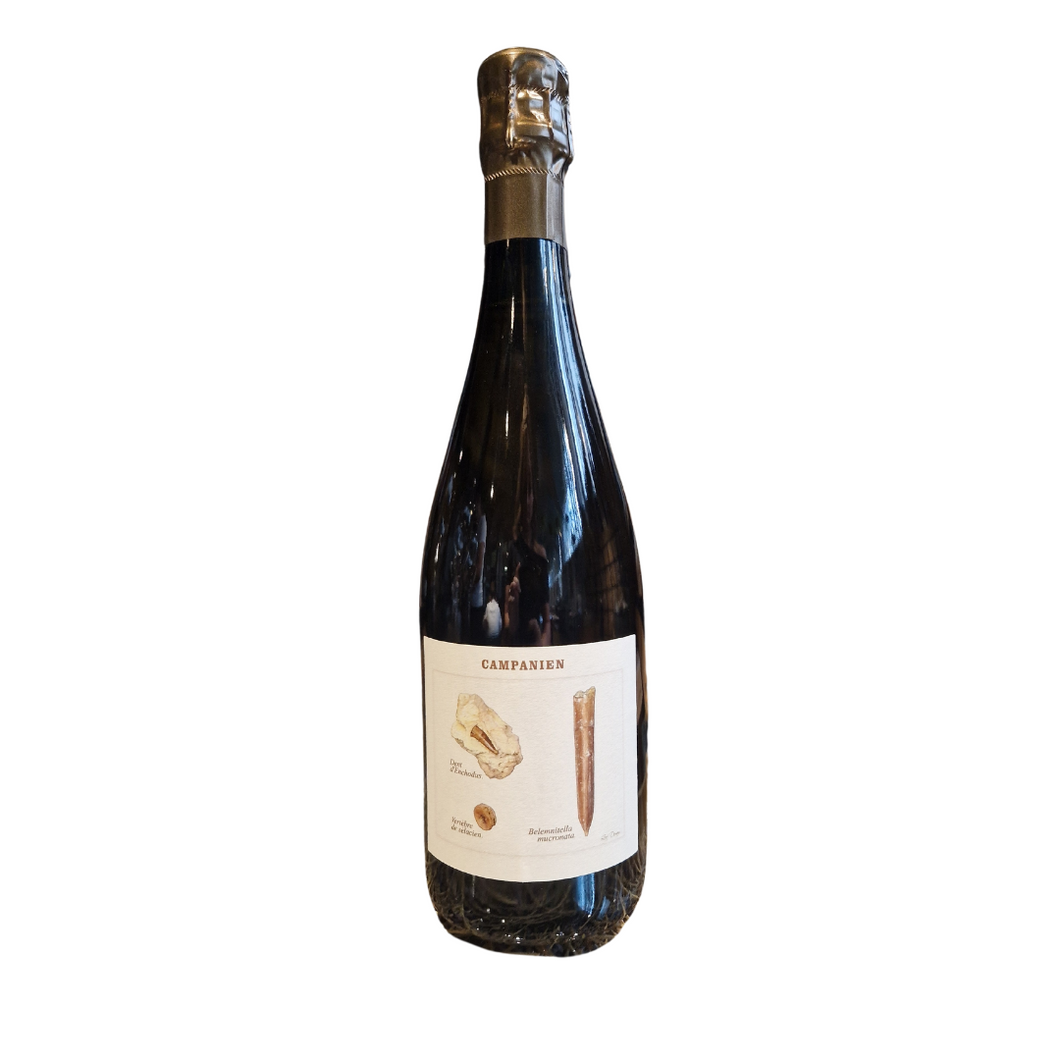 Legrand Latour Campanien Brut Nature, Champagne, France